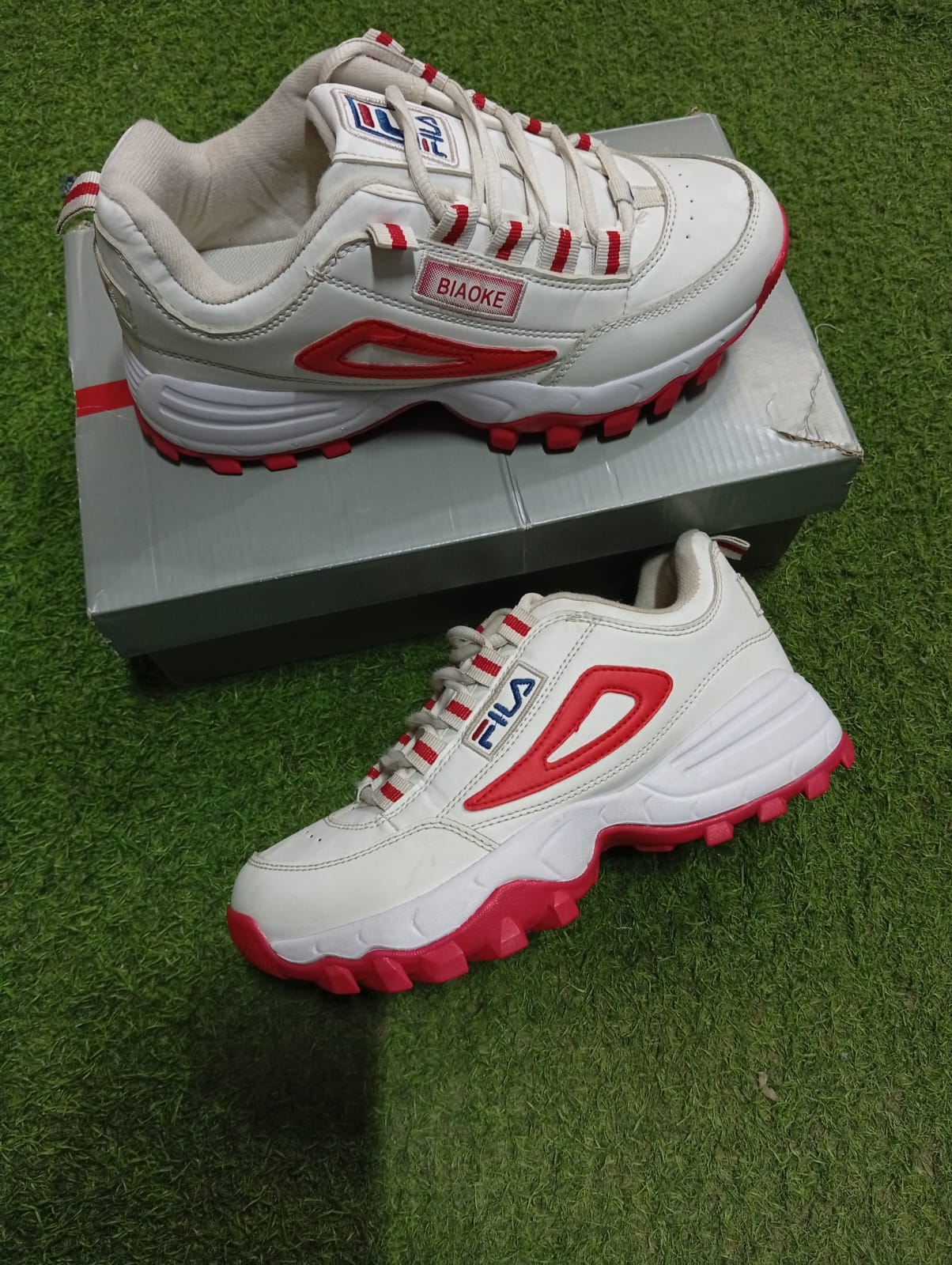 FILA Disruptor CB