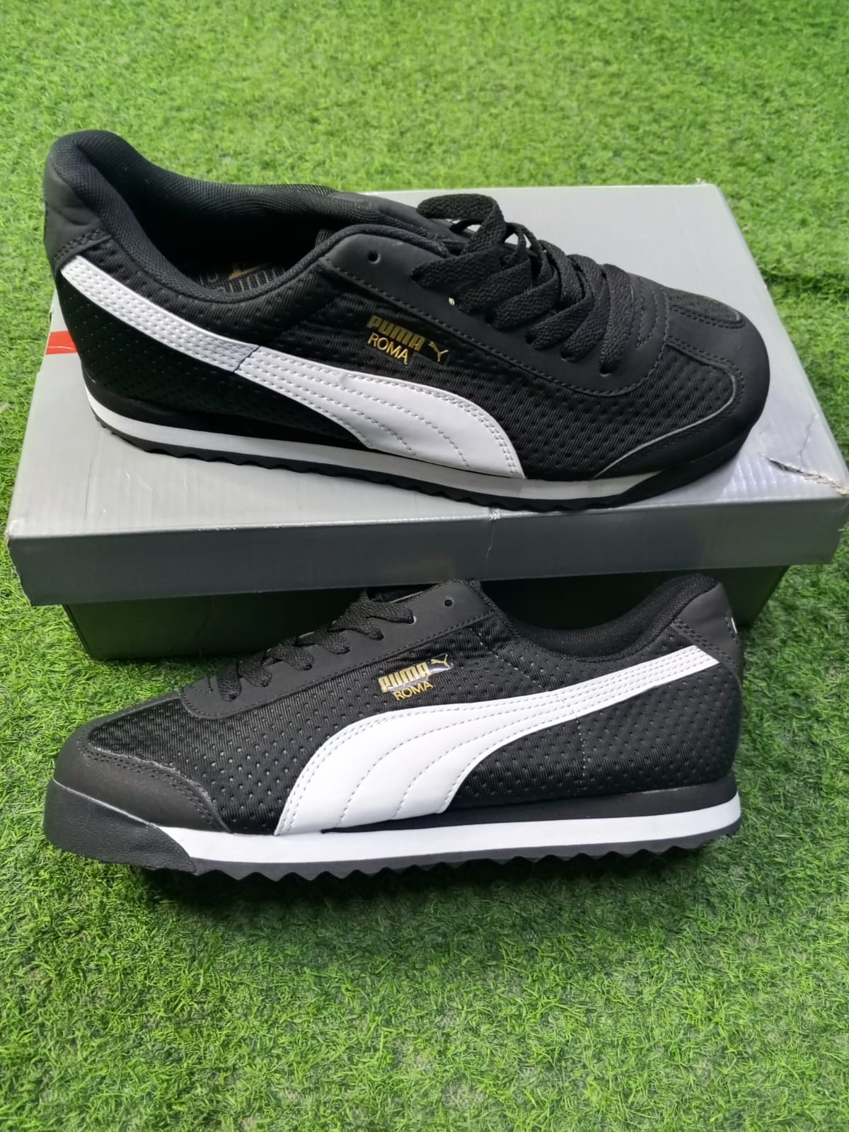 puma roam black
